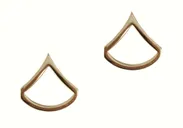 Rothco Private First Class Polished Insignia - Gold - Rothco
