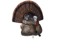 Flextone Thunder Creeper Gobbler Decoy, Strutter - FLX-FLXDY316 - Flextone