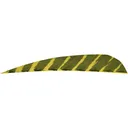 Gateway Barred Feathers Yellow 4 in. RW 50 pk. - Gateway
