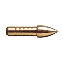 Gold Tip Glue In Points .246 80 gr. 12 pk. - Gold Tip Arrows