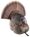 Avian-X LCD Strutter Turkey Decoy - 8004 - Avian-X