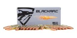 Blackarc Munitions NAS3 .300 Blackout 194Gr LeHigh Defense Subsonic HP Ammo, 20Rds - Blackarc Munitions
