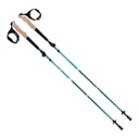 Terrain Alpha Aluminum Trekking Poles, Glacier Melt - 22014 - Allen Company