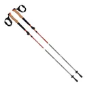 Terrain Alpha Aluminum Trekking Poles, Canyon Sunset - 22015 - Allen Company
