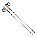 Terrain Alpha Aluminum Trekking Poles, Night Shade - 22013 - Allen Company