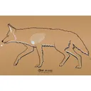 EZ Aim Coyote Corrugated Silhouette - 23 x 35 - 15731 - EZ AIM