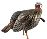 Avian-X HDR Jake Turkey Decoy - AVX8105 - Avian-X