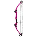 Genesis Bow Purple LH - Genesis Archery