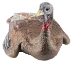 Avian-X Squatting Hen Decoy - 8011 - Avian-X