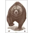 Action Target Alaska State Parks Bear Target, Brown - Action Target