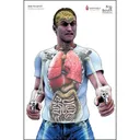Action Target Bag of Bones Man with Two Guns Anatomical Target - Action Target