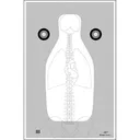 Action Target FBI Q Version 2 Target w/Vital Anatomy, Black/White/Gray - Action Target
