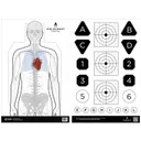 Action Target Fieldcraft Survival Double Sided Target - Action Target