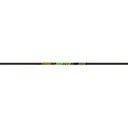 Gold Tip Hunter XT Shafts 250 1 doz. - Gold Tip Arrows