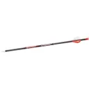 Bloodsport Arrows Judgement 31" 10.90 GPI 300 Spine Arrow Pack of 6 - GSM Outdoors