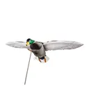 Higdon Outdoors Clone Mallard Drake Duck Decoy - Higdon Outdoors