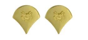 Rothco Spec-4 Polished Insignia - Gold - Rothco