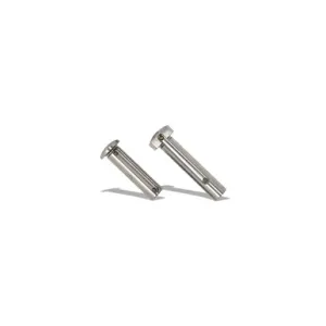 AR-15 MIL-SPEC TITANIUM TAKEDOWN/PIVOT PIN SET