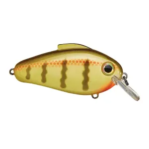 ECHO 1.75 5/8 OZ. / SCHOOL BUS