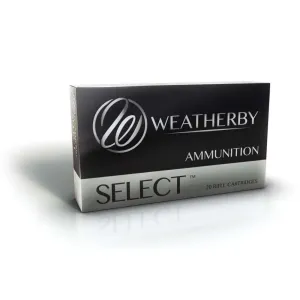 .340 WBY 250GR HORNADY INTERLOCK