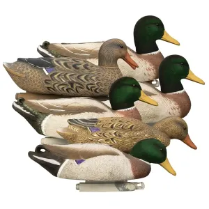 Hidgon Mag Mallard Foam Filled Flocked Heads plus 6 slot bag