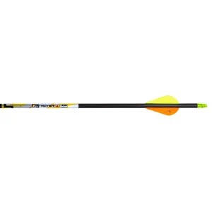 Carbon Express D-Stroyer SD Arrows 350 2 in Vanes 36 pk 51157