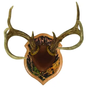 Walnut Hollow Deluxe Antler Display Kit Camo 40591