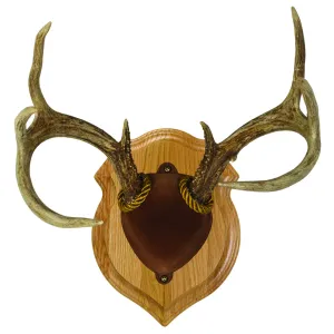 Walnut Hollow Deluxe Antler Display Kit Oak 40755