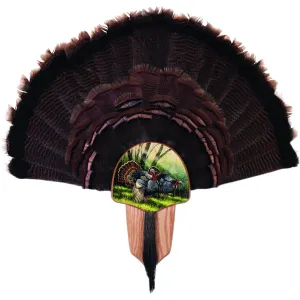 Walnut Hollow Turkey Display Kit Spring Strut 40738