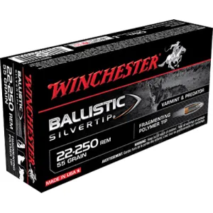 Winchester Ammo SBST22250B Ballistic Silvertip 22-250 Rem 55 gr Fragmenting Polymer Tip 20 Per Box/ 10 Case