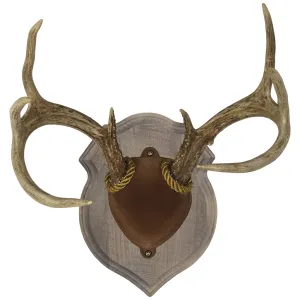 Walnut Hollow Deluxe Antler Display Kit Rustic 41142