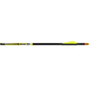 Carbon Express D-Stroyer Arrows 500 2 in Vanes 36 pk 51164