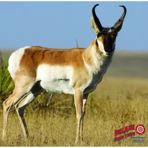 DuraMesh Archery Target Antelope 25 in x 32 in DM201
