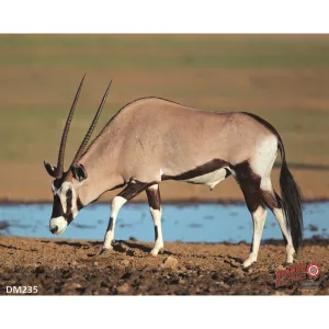 DuraMesh Archery Target Gemsbuck 25 in x 32 in DM235