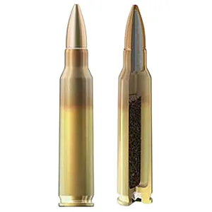 Radikal 556X45 Precision 5.56x45mm NATO 2000rds