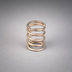 PISTON SPRING