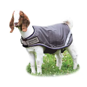HORSEWARE IRELAND 100g Excalibur/Silver/Strong Blue/Black Goat Rug (RAHG21-JISK)