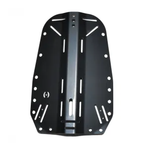 HOLLIS 2lbs Black Aluminum Backplate (208.1291.000)