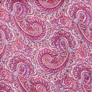 WYOMING TRADERS Paisley Regular Jacquard Silk Scarf