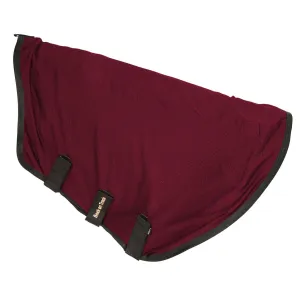 BACK ON TRACK Royal Mesh Neck Cover Deluxe