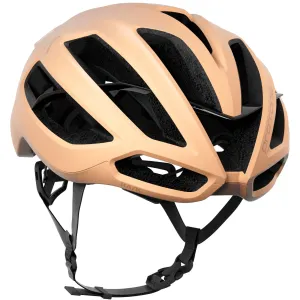 KASK Protone Icon Helmet