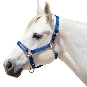 KENSINGTON Premium Nylon Breakaway Halter (KHSB)