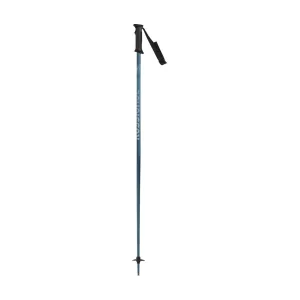 ROSSIGNOL Unisex Tactic Alpine Poles (RDN20)