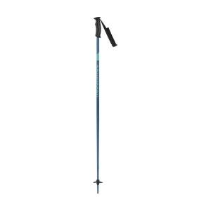 ROSSIGNOL Women's Electra Alpine Poles (RDN50)