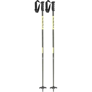 LEKI Swtch Ski Poles