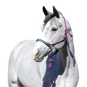 KENSINGTON PROTECTIVE PRODUCTS Clinician Rope Halter, Size: Horse (KCRH)