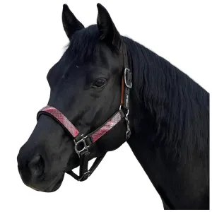 KENSINGTON Premium Nylon Breakaway Halter (KHSB)