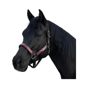 KENSINGTON PROTECTIVE PRODUCTS Premium Nylon Halter (KHS)
