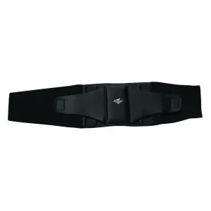 PROFESSIONAL'S CHOICE Comfort-Fit Black Low Back Support (PC-BLACK)