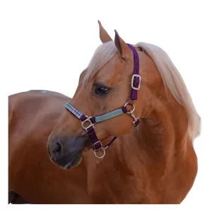 KENSINGTON Premium Nylon Breakaway Halter (KHSB)